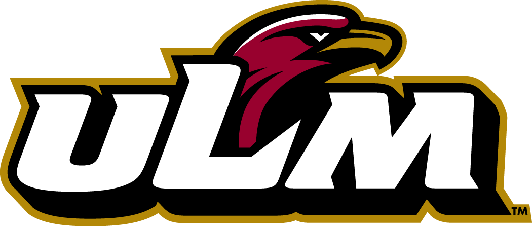 Louisiana-Monroe Warhawks 2006-Pres Primary Logo diy iron on heat transfer